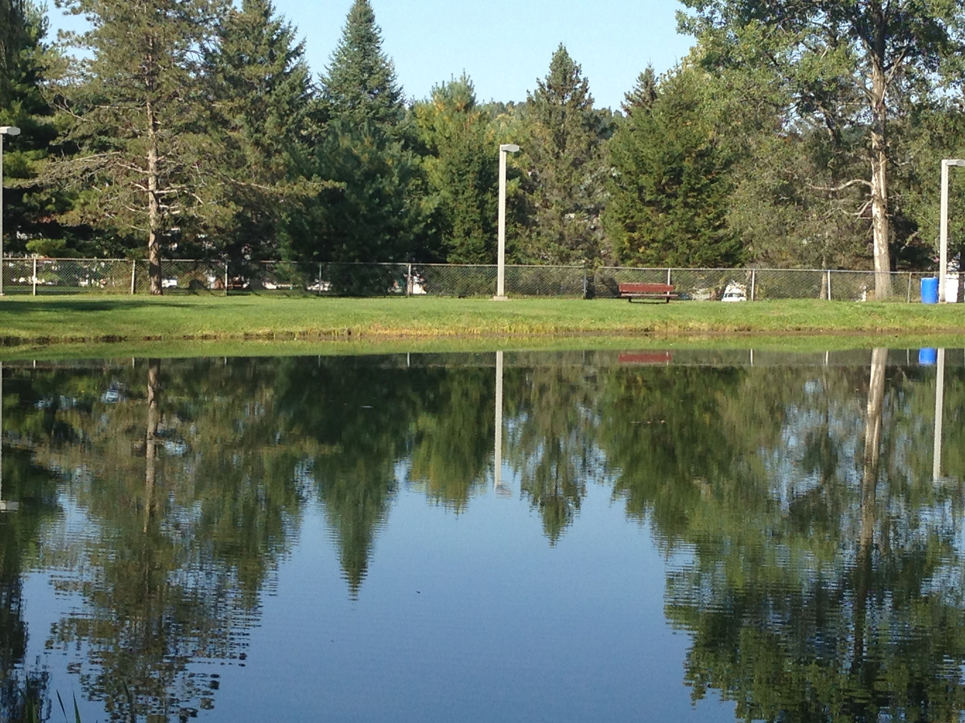 Wohlfarths Pond in the Summer showing reflections of trees and a red bench on the far side